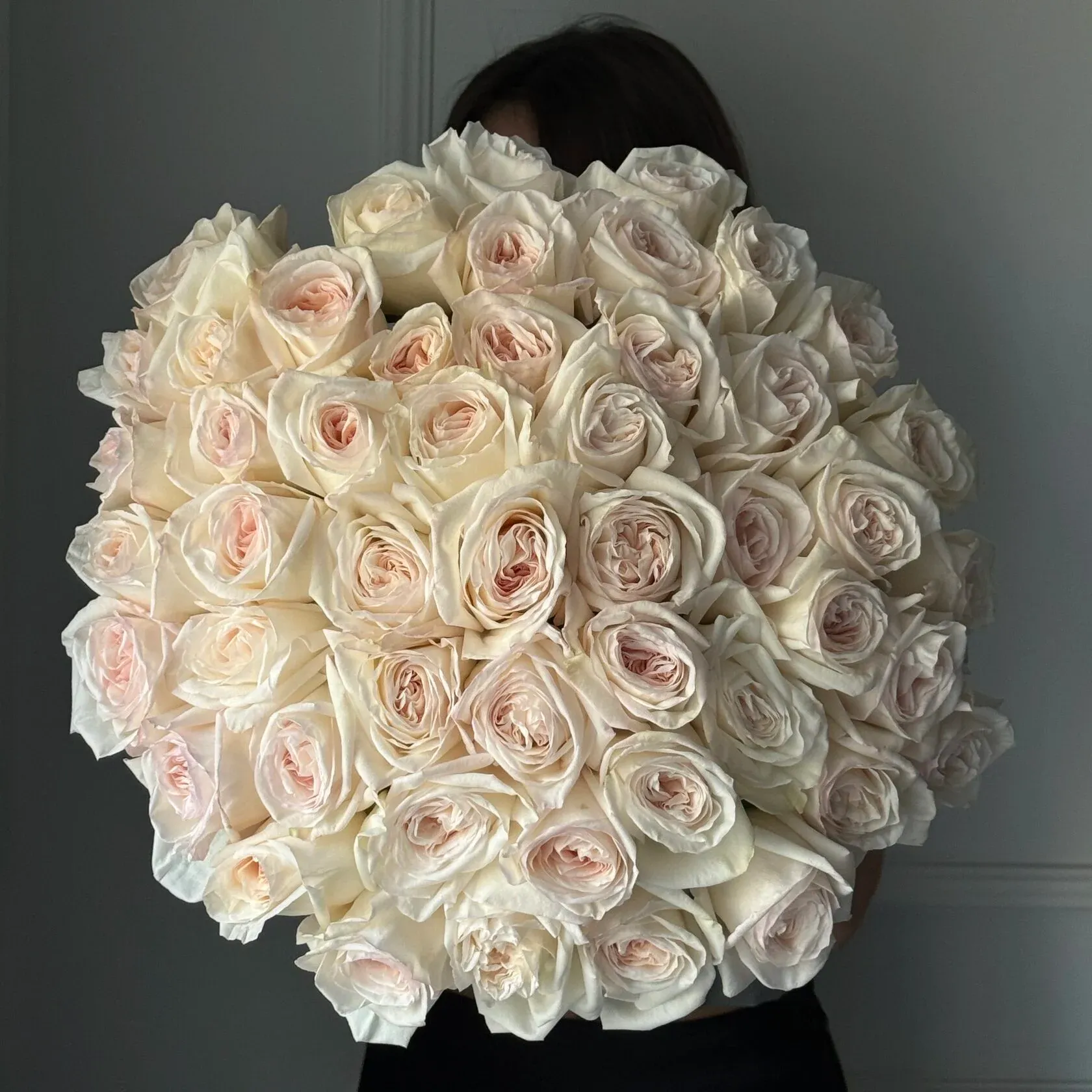 55851580.jpg.webp