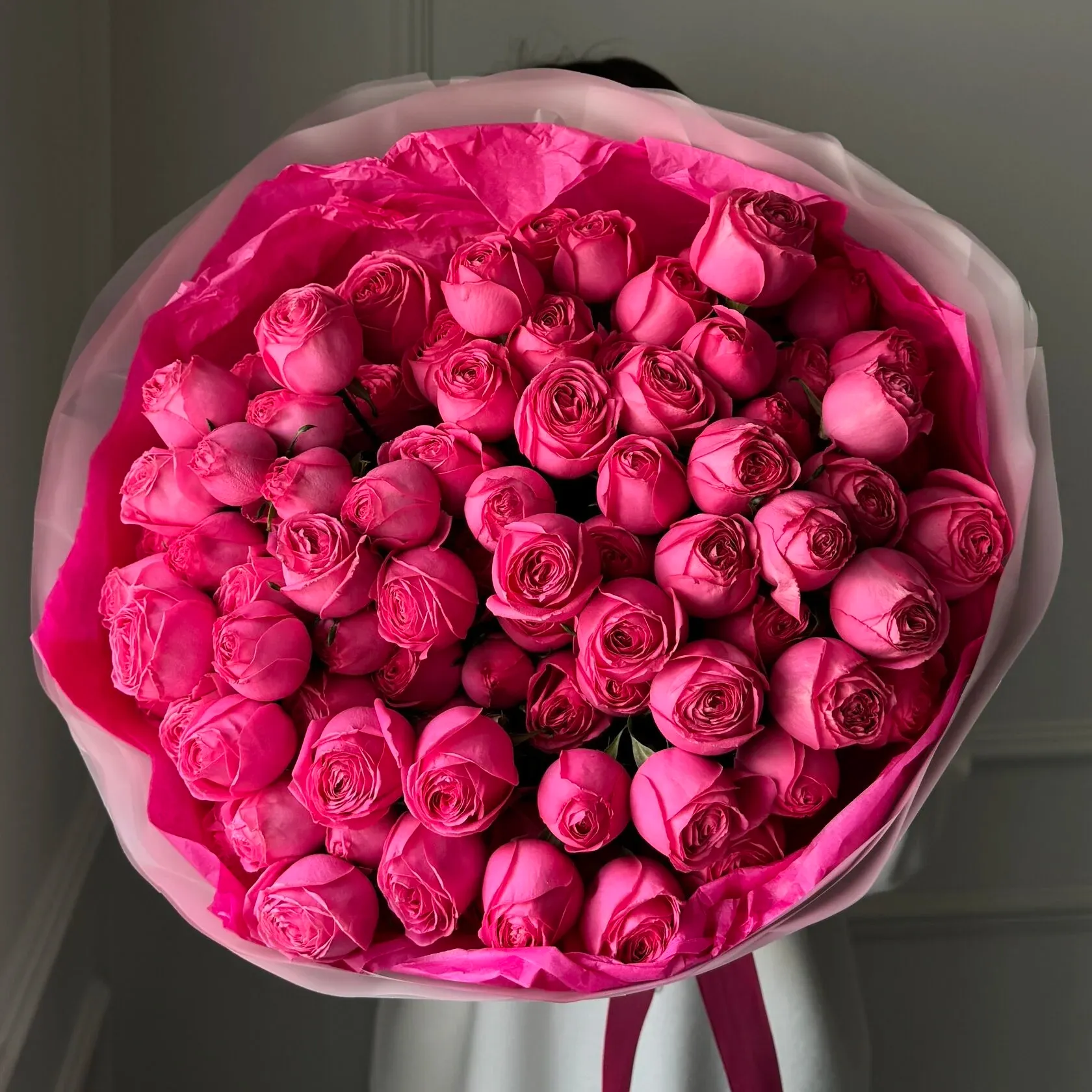 74196657.jpg.webp
