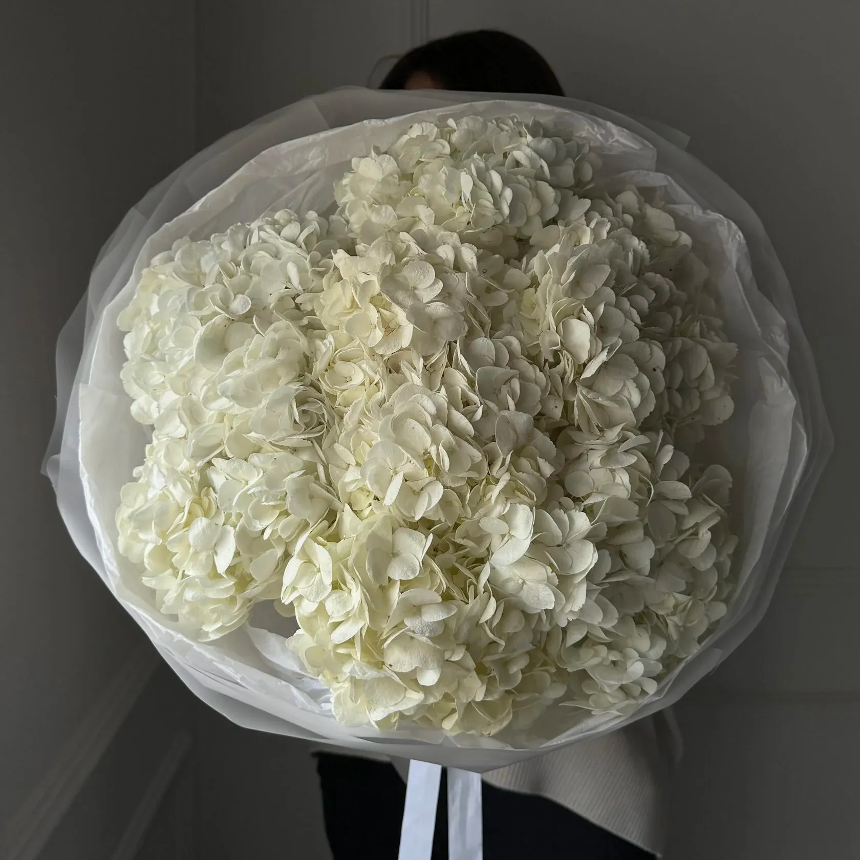 82557623.jpg.webp