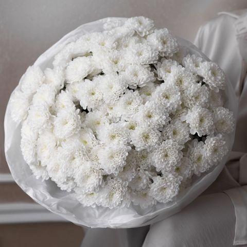 catalogs_file1_1515_l.jpg