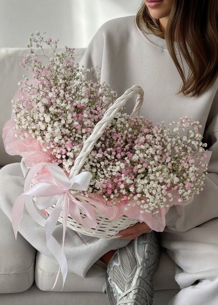 Gypsophila